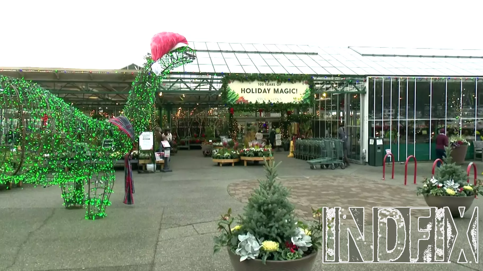 A Century of Growth: Swansons Nursery Celebrates 100 Years in Business